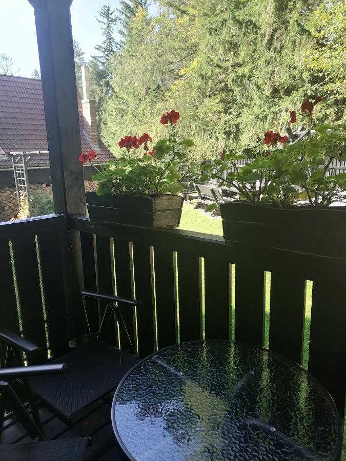 Willa Pod Lasem Szklarska Poręba Exteriör bild