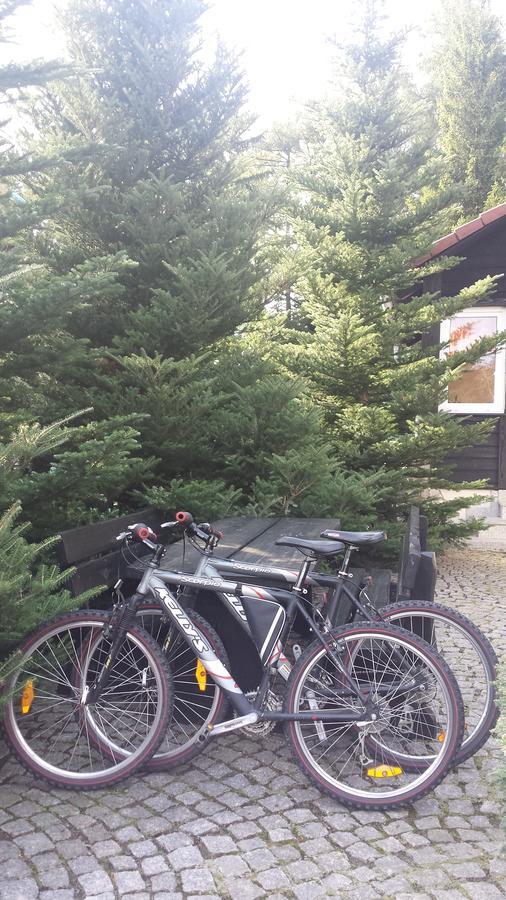 Willa Pod Lasem Szklarska Poręba Exteriör bild